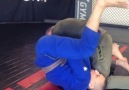 BJJ Insider - Who&still doing tornado guard &