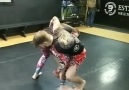 Bjj Memedom - Truck Hook to Twister Roll vs Single Leg Slomo &