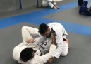 @bjjnoflag repost