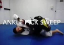 Bjj Tips - Ankle Pick Sweep