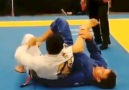 Bjj Tips - Clark Gracie Omoplata Facebook