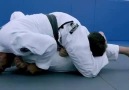 Bjj Tips - Renzo Gracie - Arm Lock From Side Control Facebook