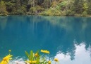 Blausee Switzerland