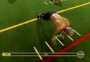 Bloger De Wicala - 02 - Vertical Plyometrics INSANITY ASYLUM Facebook