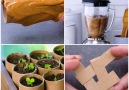 Blossom - I&on a roll with these 13 recycling hacks! Facebook