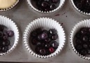 Blueberry Lemon Cupcakes