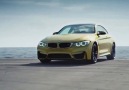 BMW M4 - Ultimate Racetrack