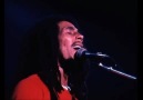 Bob Marley - Bob Marley - & Easy Skanking In Boston &