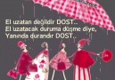 Böğürtlen Kışı - Dost nedir