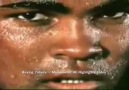 Boksun Efsanesi Muhammed Ali