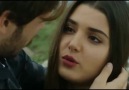 17.Bölüm AlSel Part 1