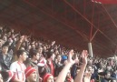 BOLUSPOR'umuz - Samsunspor