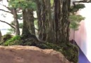 Bonsai trees