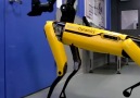 Boston Dynamics newest robot dog can open doors by itself.