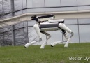 Boston Dynamics SpotMini