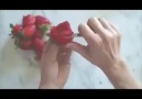 Bouquet de roses à croquer ...