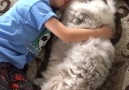 Boy Cuddles Fluffy Cat