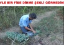 BÖYLE BİR FİDE DİKME ŞEKLİ GÖRMEDİNİZ !