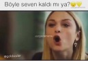 Boyle seven kaldimi ya