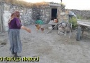 BOZ BULANIK NEHİR GİBİ ÇAĞLARDIM - Eski Türküler Piribeyli