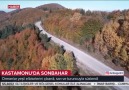 Bozkurtta Sonbahar...