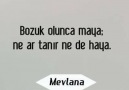 Bozuk olunca maya ne ar tanır ne de haya. Mevlana&