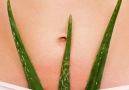 Bright Side - 11 benefits of aloe vera. bit.ly2WZClBz