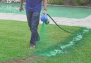 Bring Your Lawn To Life With Hydro Mousse.Find it here