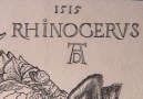 British Museum - Albrecht Dürers woodcut of a rhinoceros Facebook