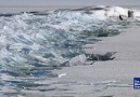 Broken Ice Looks Like Shards of Glass
