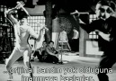 Bruce Lee  A Warrior's Journey - 1