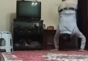 Bruce Lee Hüseyin