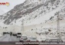 Bruki Aşireti - Van&doğal afetler üzerineden çıkarılan şarkı &HESEN ŞEPA VANE