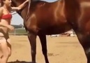 Bu at kesinlikle bu kızdan daha akıllı.