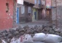 Bu bir vahşet değilse nedir..