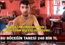 Bu böceğin tanesi 240 Bin TL