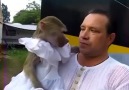 Bu Canlılardan Hangisi Maymun? :))