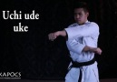 Budo Karateka - Shtkan Karate Kihon WazaKapocs...