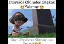 Bu dünyada ölümden başkası yalan