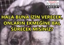 BU DURUMA ENGEL OLMUYOR BİR DE ÜZERİNE DESTEK Mİ OLUYORSUNUZ