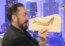 Bu fosil 'evrim yok' diyor.! (Adnan Oktar)