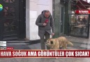 Bu görüntüler iç ısıtıyorlar!