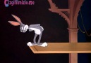 Bugs Bunny