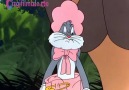 Bugs Bunny 11. Bölüm