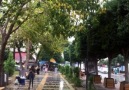 Bugün Adana yağmurlu sevgilim.