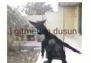 Bugünde Eşeğe yakalım