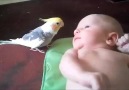 Bugün ninni söyleme sırası ondaymış...