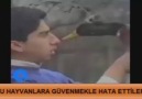 BU HAYVANLARA GÜVENMEKLE HATA ETTİLER