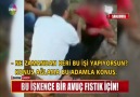 Bu işkence bir avuç fıstık için !