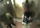 Bu kızla aynı asansörde olmak istemezsiniz